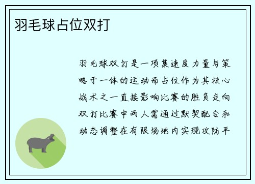 羽毛球占位双打
